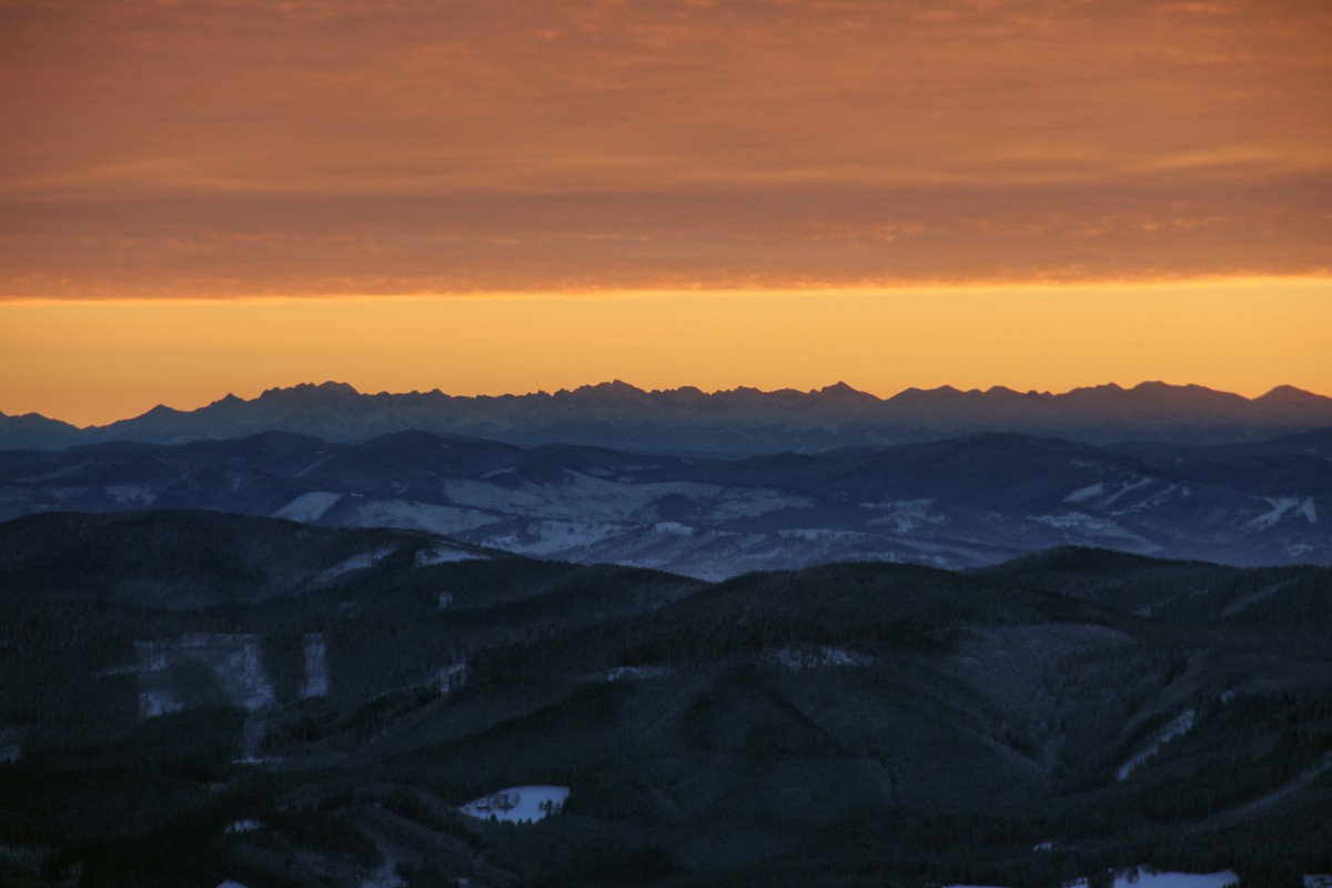 img00029.jpg
