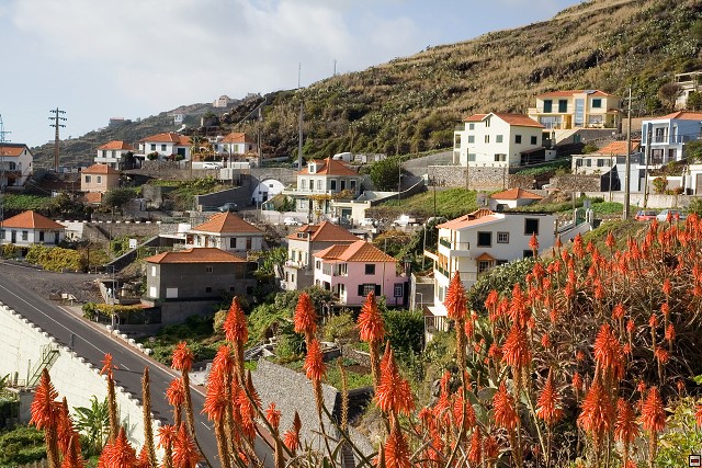 img00198.jpg