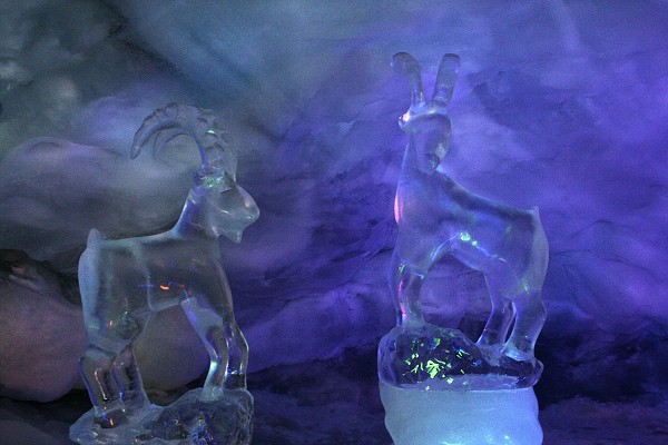 img00071.jpg