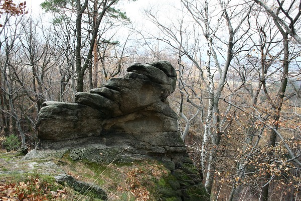 img00027.jpg